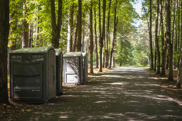Best Best portable toilet rental  in Hibbing, MN